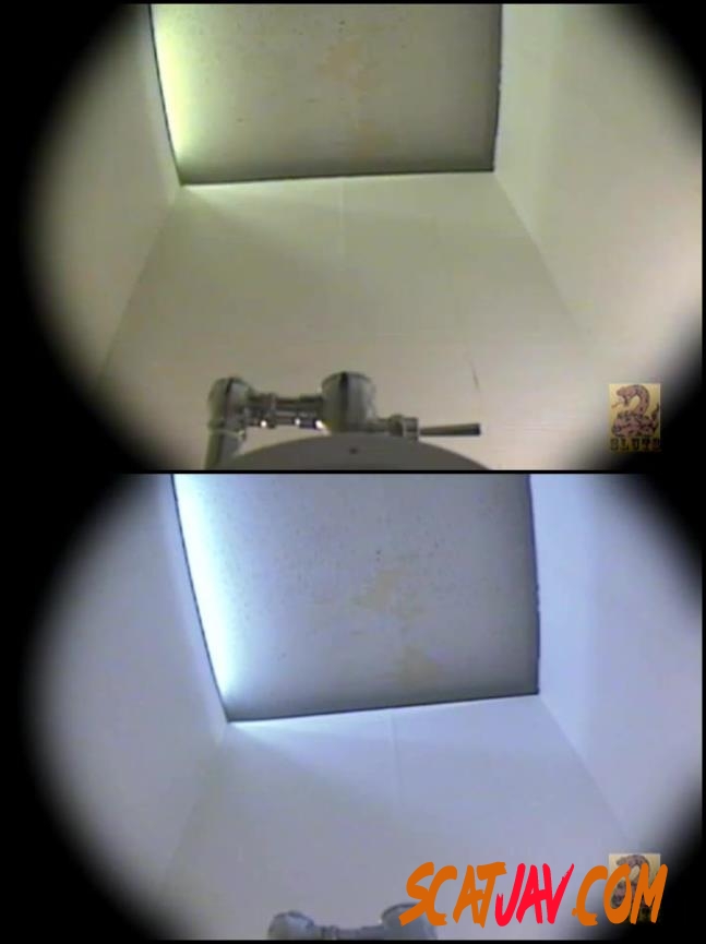 SLUF006 Toilet Defecation うんこフルショット　４カメ３マルチアングル　６　素人女編 (077.0649_SLUF006 | 2018 | SD) (2.07 GB)