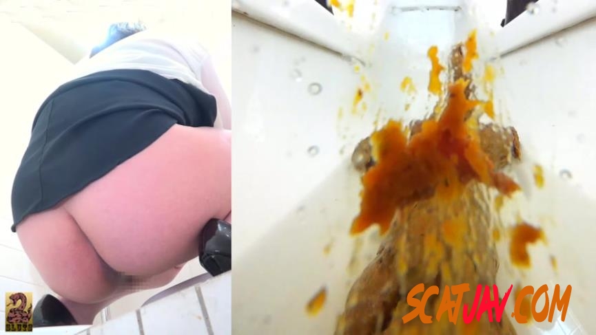 BFSR-149 Pretty woman Covers Her Body with Shit in the Toilet 美しいシャツでたわごと (3.1585_BFSR149 | 2019 | FullHD) (135 MB)